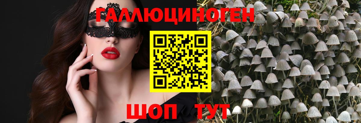 купить наркотик  Вход с VPN  Нурлат  Галлюциногенные грибы мицелий  Псилоцибиновые грибы Psilocybe 